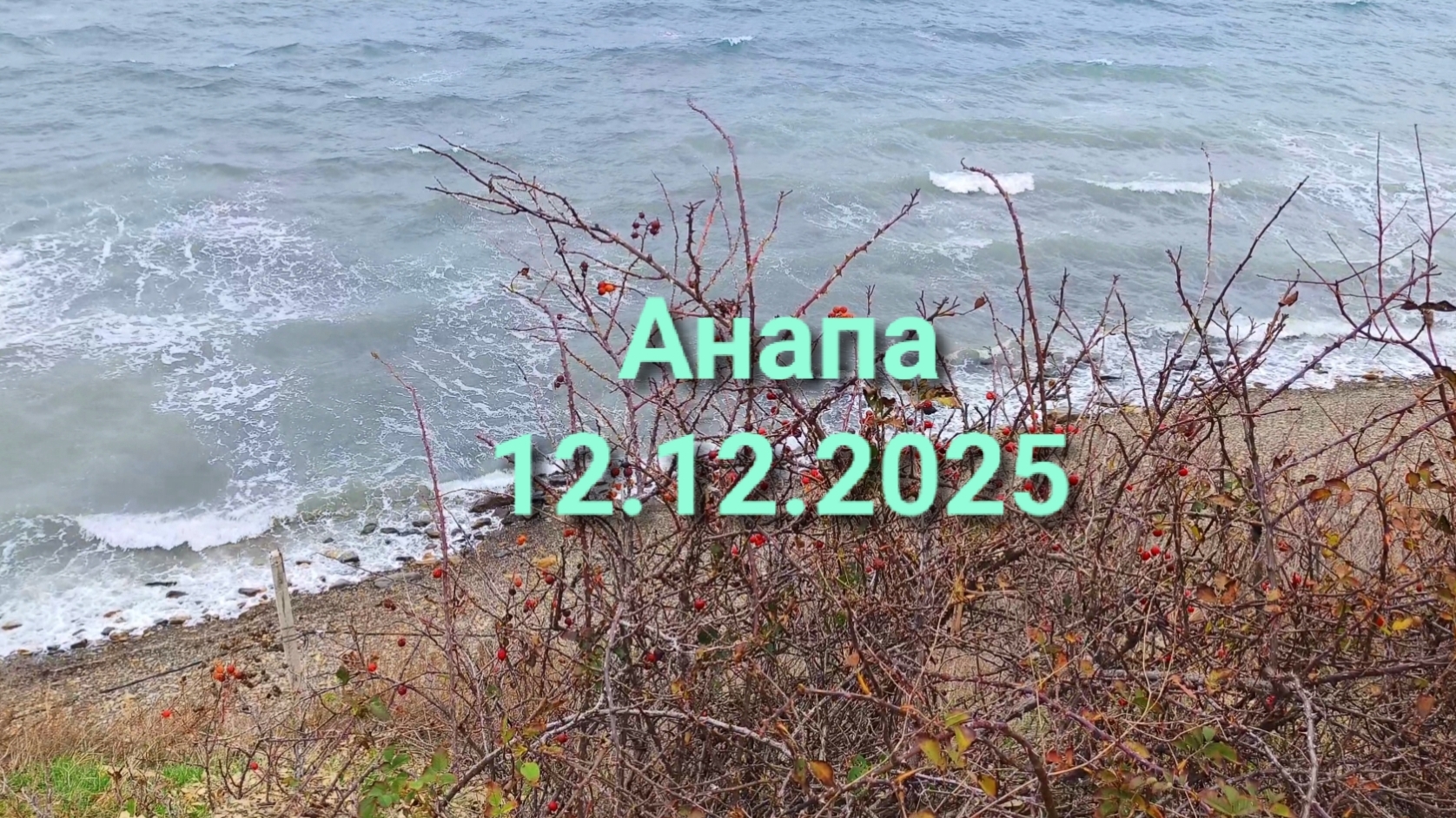 Анапа 12.12.2025