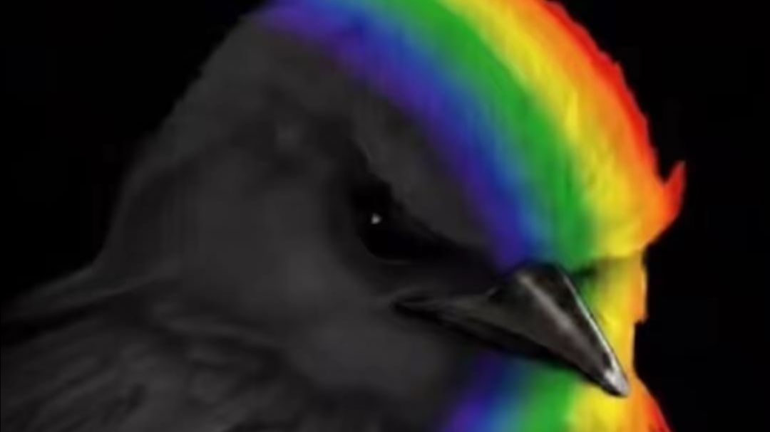 Моя первая трансляция