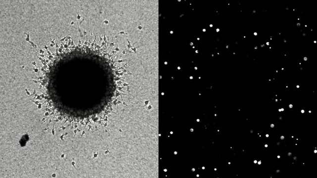 3I/ATLAS Опроверг Все Прогнозы — NASA Готовится Опубликовать Новые Снимки