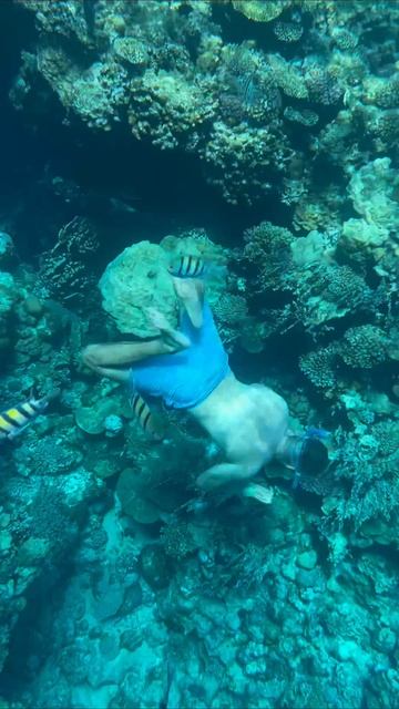 разбавим рабочий контент - новым открытием)