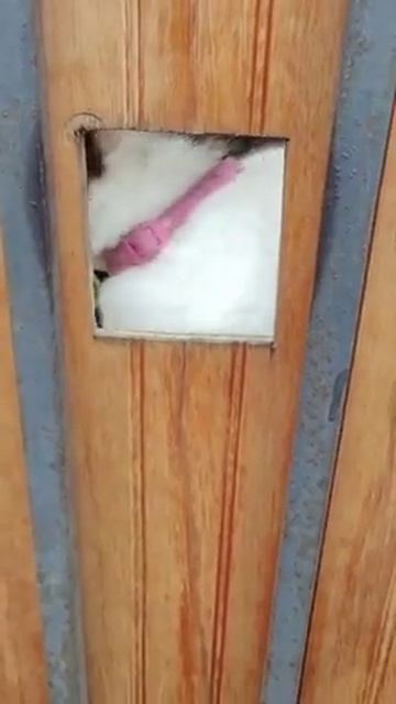 Нападение на наблюдательный пункт