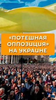 "Потешная оппозиция" на Украине