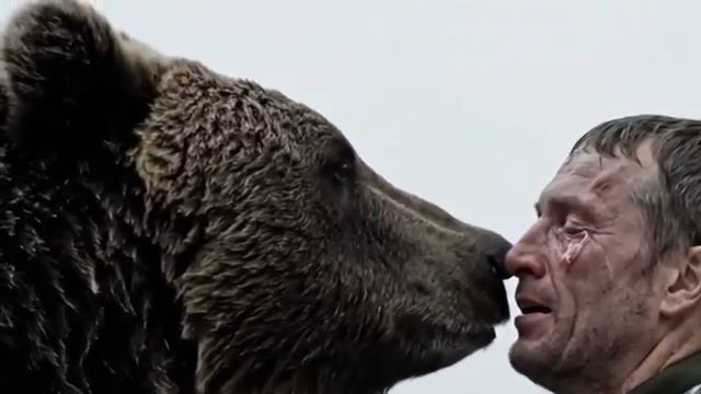 Медведь нашёл в лесу привязанного лесника к дереву