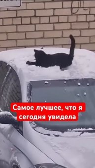 Люди, учитесь радоваться жизни!