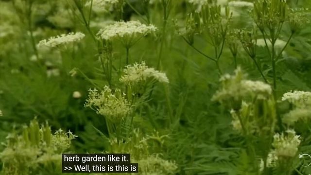 Cooking an Autherntic Tudor Feast in a 16th century kitchen
