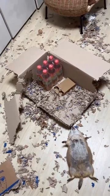 А у вас сегодня что на обед