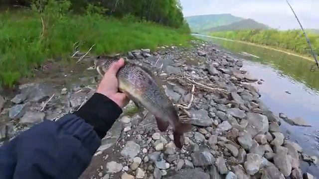 ЗАБРАЛИСЬ ПО СЛЕДАМ МЕДВЕДЯ В САМУЮ ГЛУБИНУ ТАЙГИ ЗА ПРИКЛЮЧЕНИЯМИ И РЫБАЛКОЙ! Р
