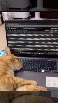 Просьба не беспокоить, я чичас рабкотаю😴