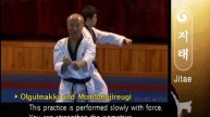 Poomsae 06 Jitae (Kyu Hyung Lee)