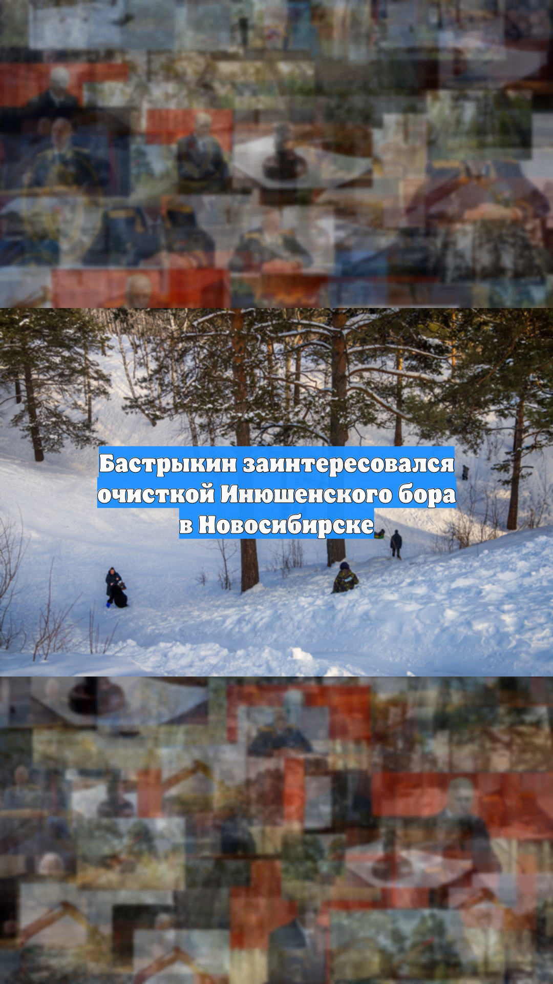 Бастрыкин заинтересовался очисткой Инюшенского бора в Новосибирске