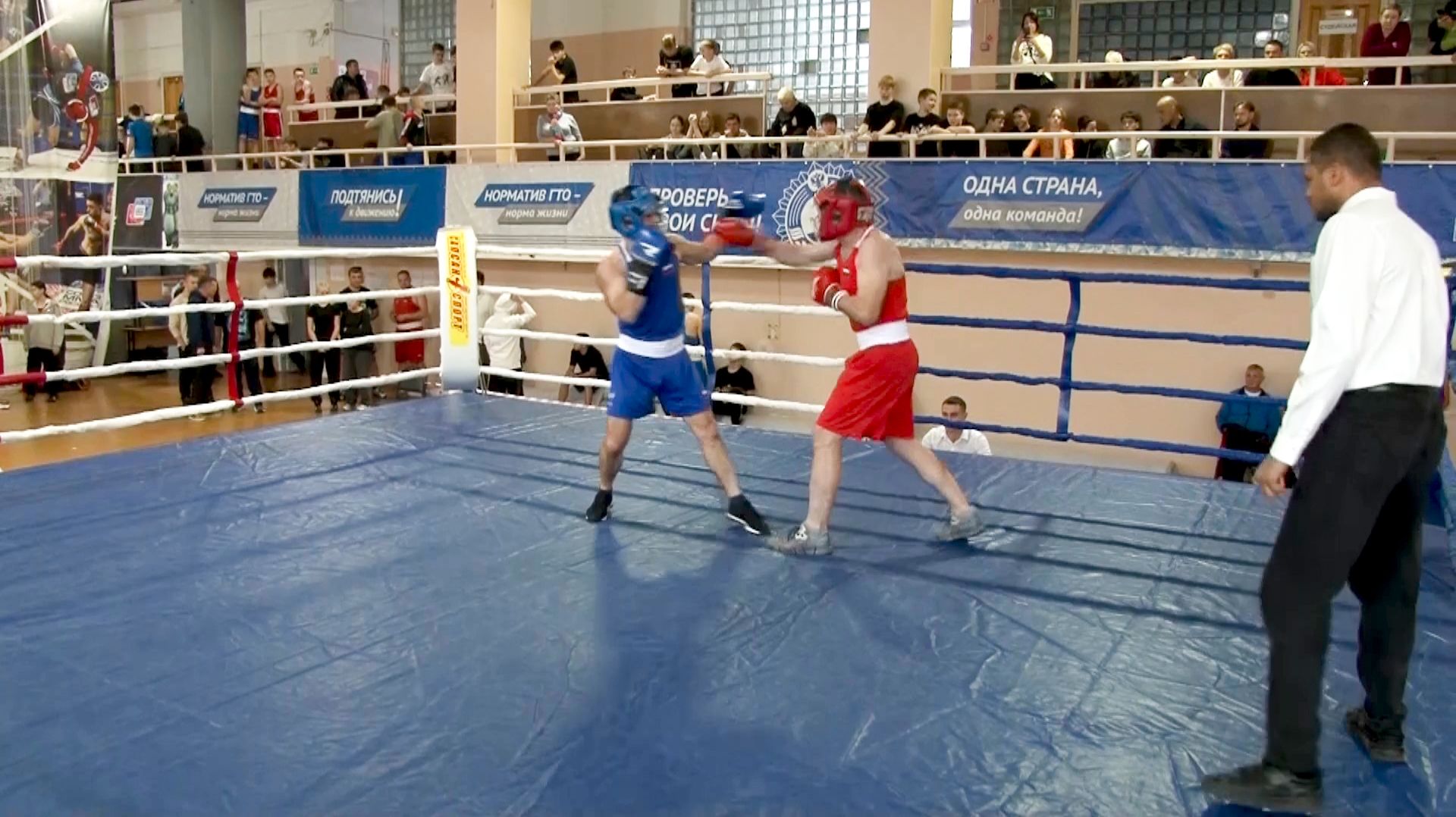В Рязани стартовало первенство региона по боксу
