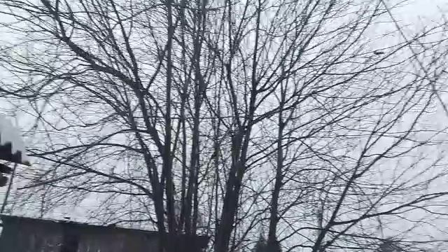 село мирный тайшетский район