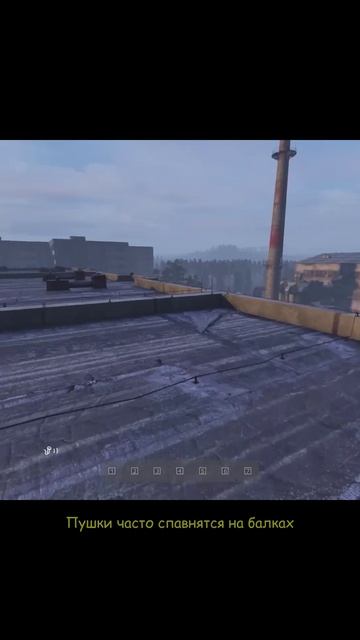 Али #Stimpee #DayZ #DayZStandalone