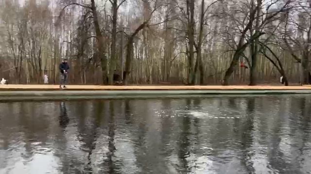 video_2025-12-11_09-16-09