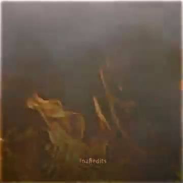 Top momentspringtrap fnaf fnafedit edit