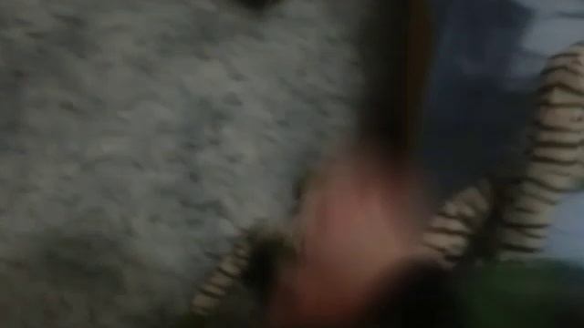 Пацаны против Ботаника ( Видео не моё ) от КАРАПУЛЬКА