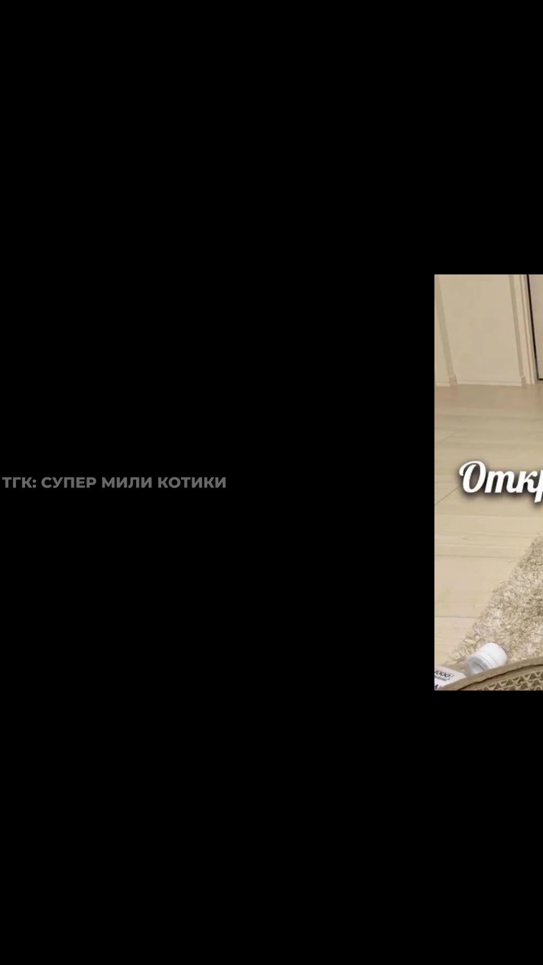 supermilikotiki_040.mp4