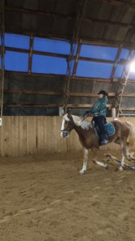 Даша и Каспер, первое кавалетти, немного потрясло.