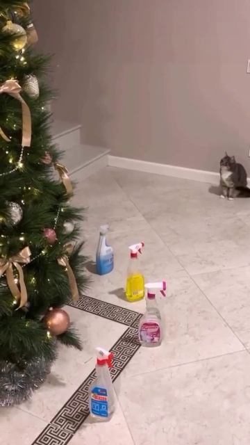 Гнилые людишки👿