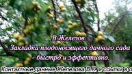 В.Железов. Закладка плодоносящего дачного сада - быстро и эффективно.