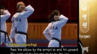 Poomsae 04 Pyongwon (Kyu Hyung Lee)