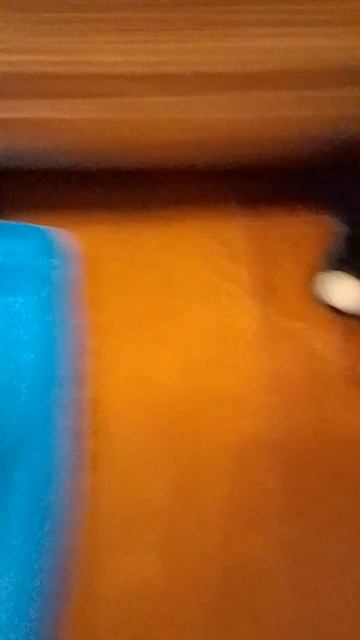 lv_0_20251212123934.mp4