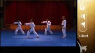 Poomsae 03 Taebaek (Kyu Hyung Lee)