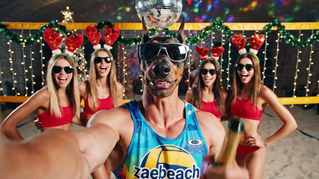 Зимний товарищ 2