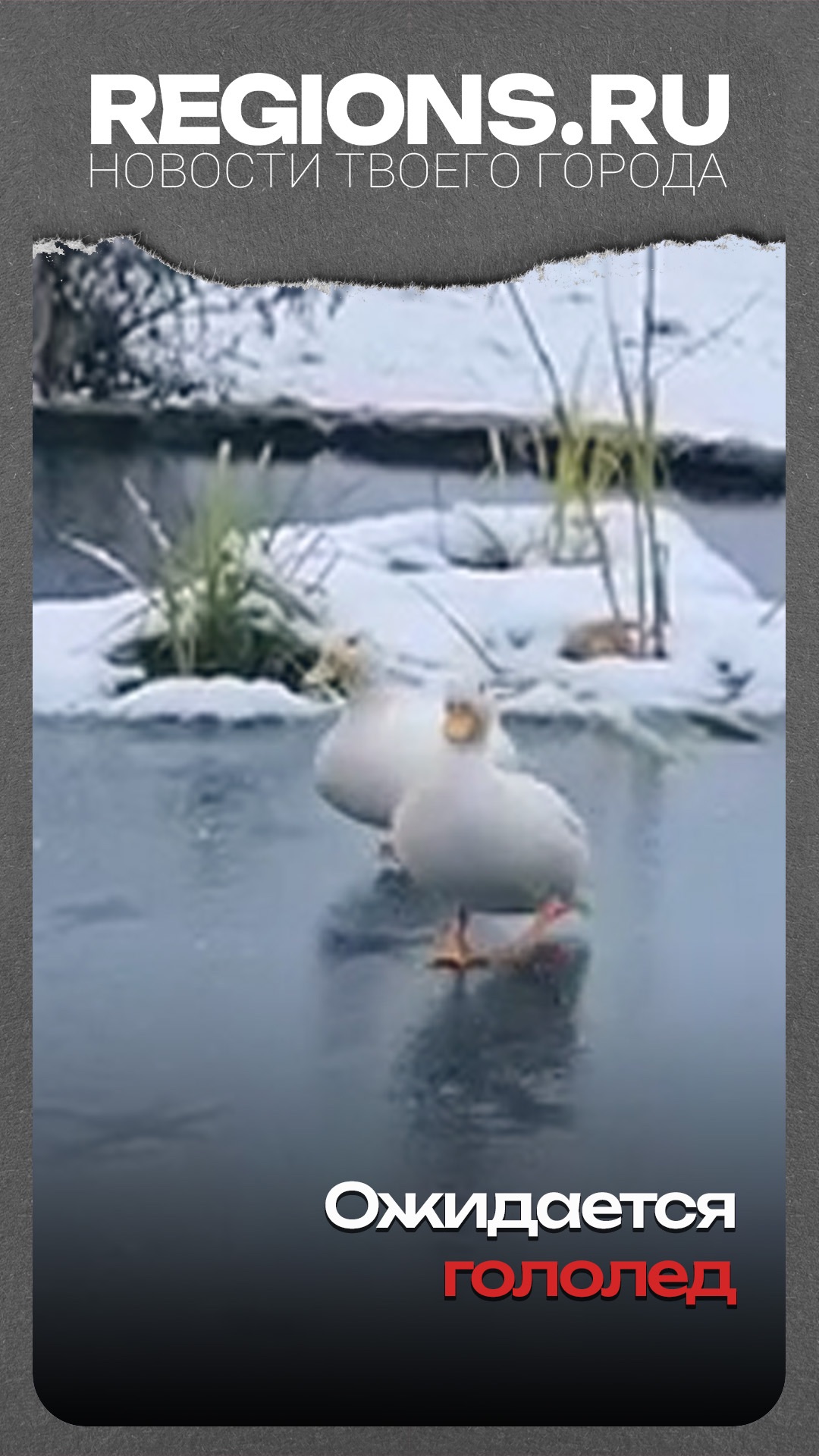 Ожидается гололед