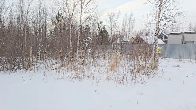 10381364 Черемушки