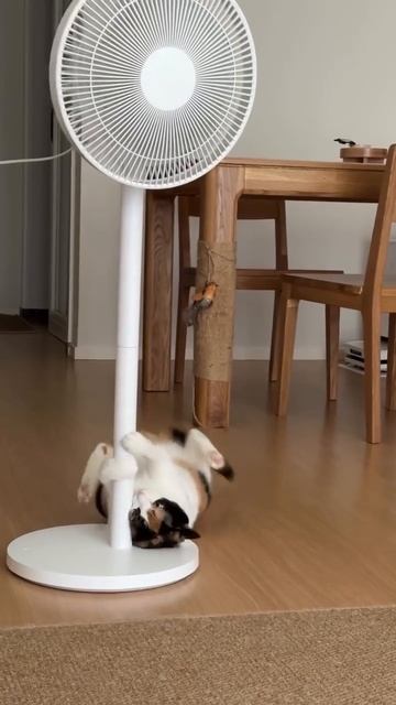 AQMbu_oehGL1BbRGR9wr_NWH_zOICA77RpyClSFo93ZyWYinmt_b_KzKRhAe_Qj