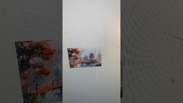 VID_20251211_172032.mp4