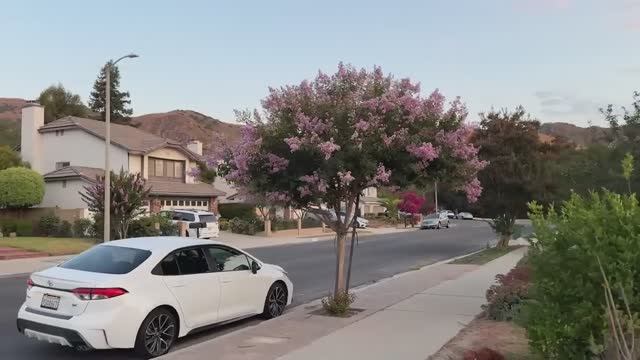 Рабочий День Курьера в США