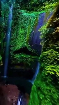 Экзотическая туристическая деревня в тропиках