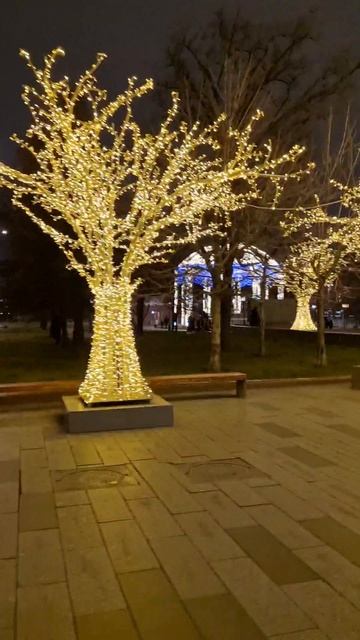 Новогодняя Москва! Большой театр и площадь Революции! 09 декабря 2025 г.