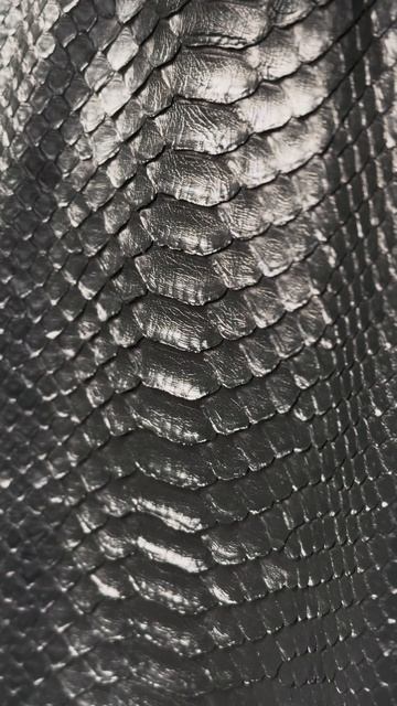 Куртка и кепка из питона