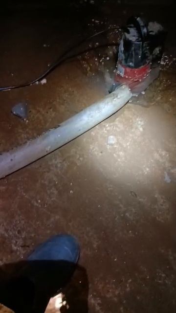 Эстонская, 37/6