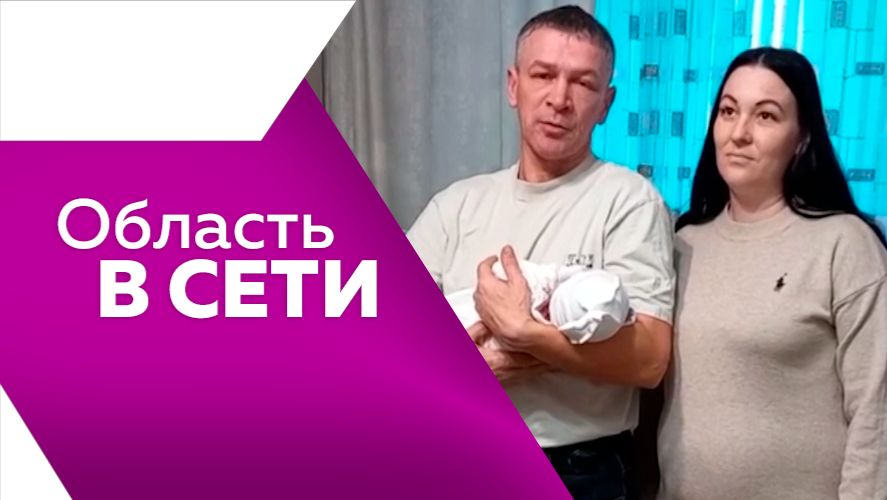 Область в сети №328