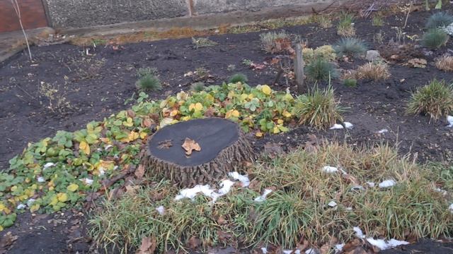 1000015030.mp4 🖋️🚀МОЯ ЖИЗНЬ БЕЗ РЕТУШИ💃🔥 МОИ БУДНИ 🖋️🚀