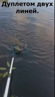 Видео от За Трофеем: Охота и Рыбалка