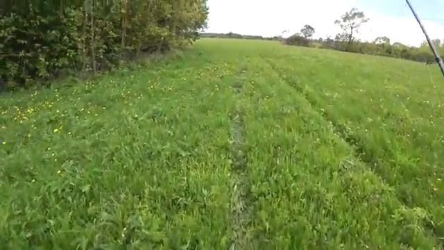 ЭТИ РЫБИНЫ ГНУТ СПИННИНГ В БУБЛИК! ПРИРОДА КАК В СКАЗКЕ, ГЛАЗ НЕ ОТОРВАТЬ! Рыбалка 2024.