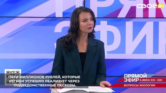 Благодаря нацпроекту «Экология» на Ставрополье ежегодно восстанавливают леса на площади 54 гектара