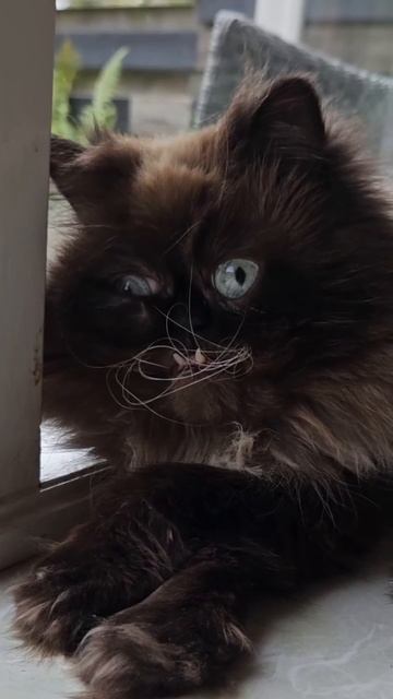 Ты сказал Лок'тар огар?