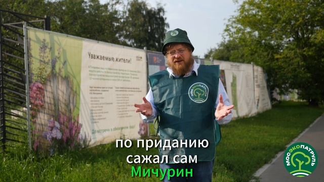 Строгино 28.07.25 г.