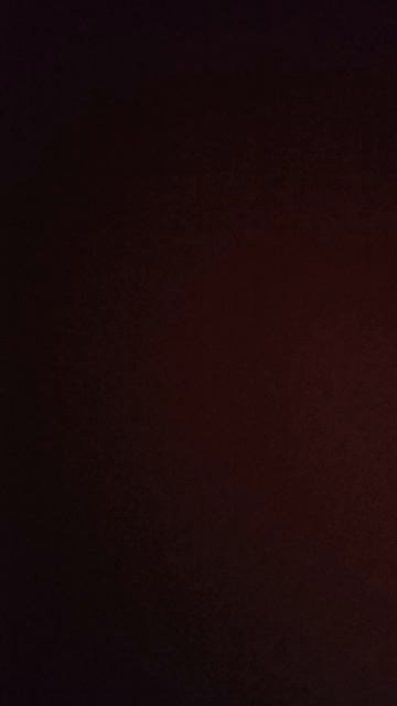 Прокуратуре : буйные арендаторы 1000257869.mp4