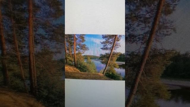 VID_20251104_112712.mp4