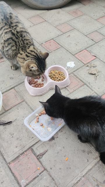 12.12. Сегодня волшебный день!