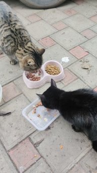 12.12. Сегодня волшебный день!