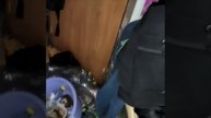 Молодая девушка превратила съёмную квартиру в мусорку с трупом кошки. Красноярец 6 лет сдавал жильё