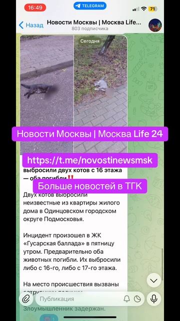 Новости Москвы | Москва Life 24